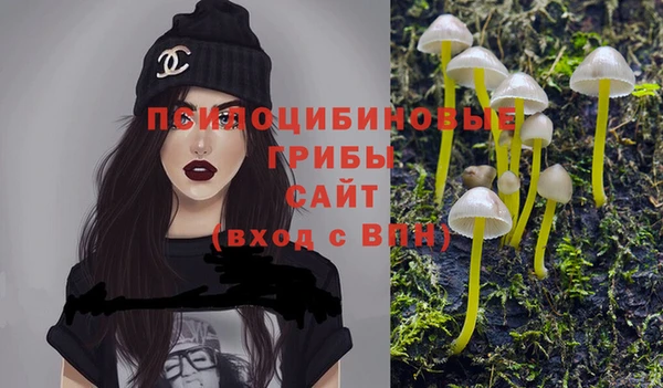 ECSTASY Заволжск