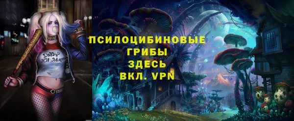 ECSTASY Заволжск